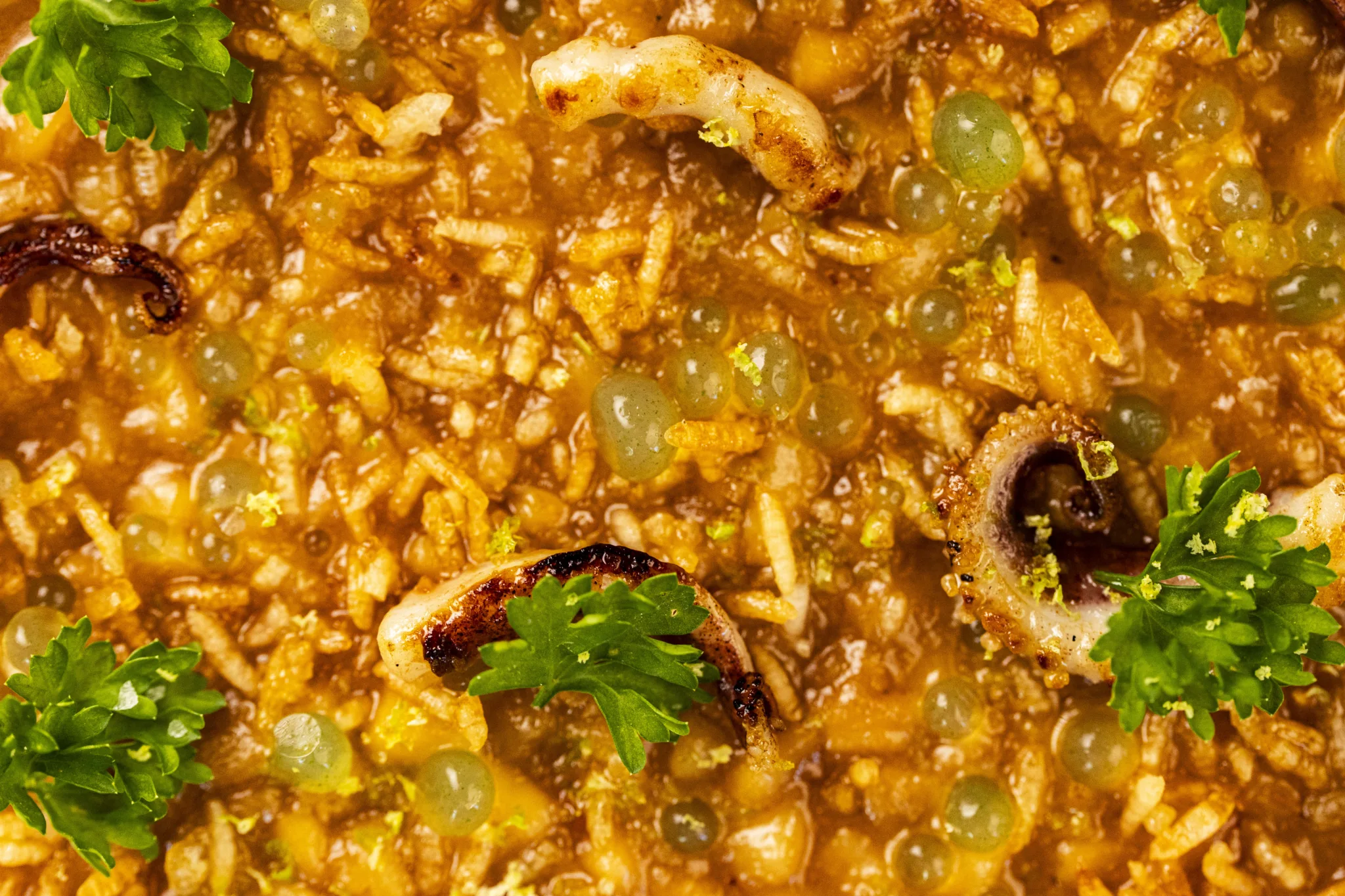 Fotografía gastronómica para Clómada - Cliente GOMA